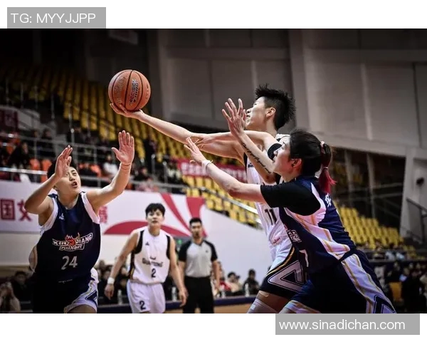 范子铭的成长之路与篮球梦想的追逐历程揭秘