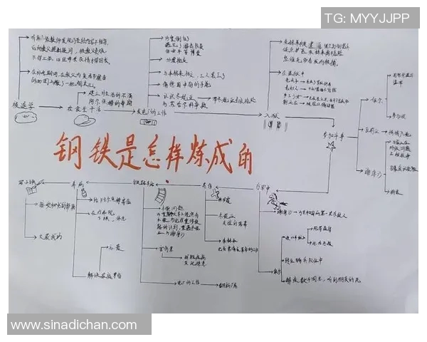 谢什科的传奇人生与时代变迁中的不屈精神探讨